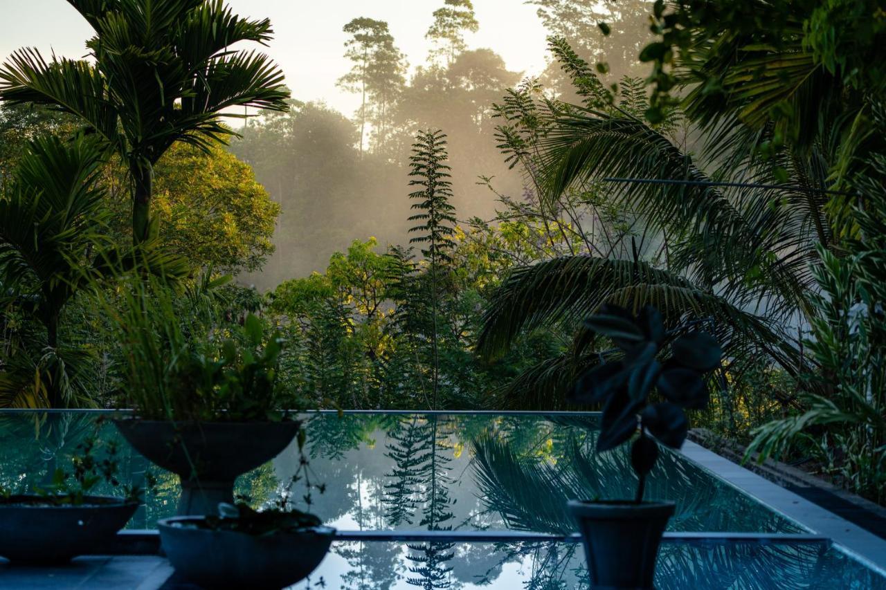 Tea Heights Hotel Kandy Buitenkant foto