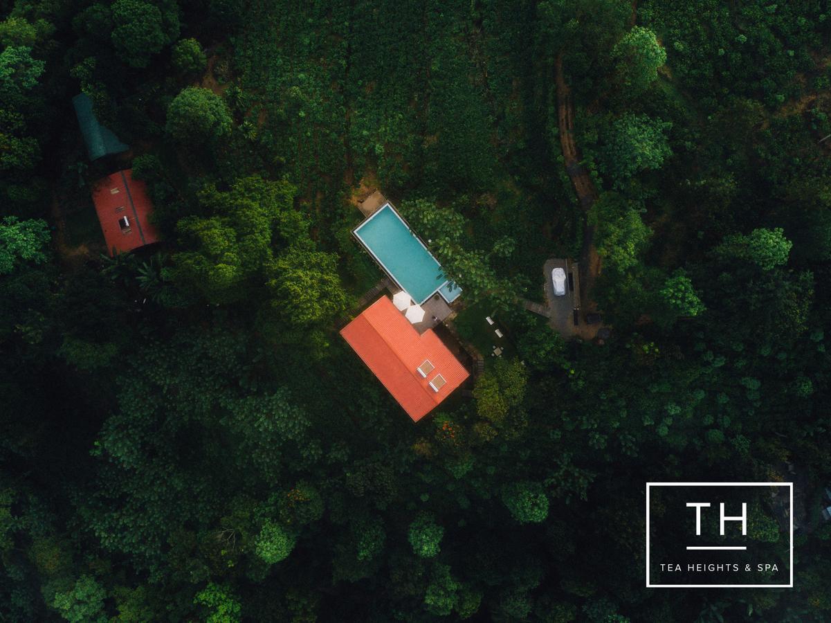 Tea Heights Hotel Kandy Buitenkant foto