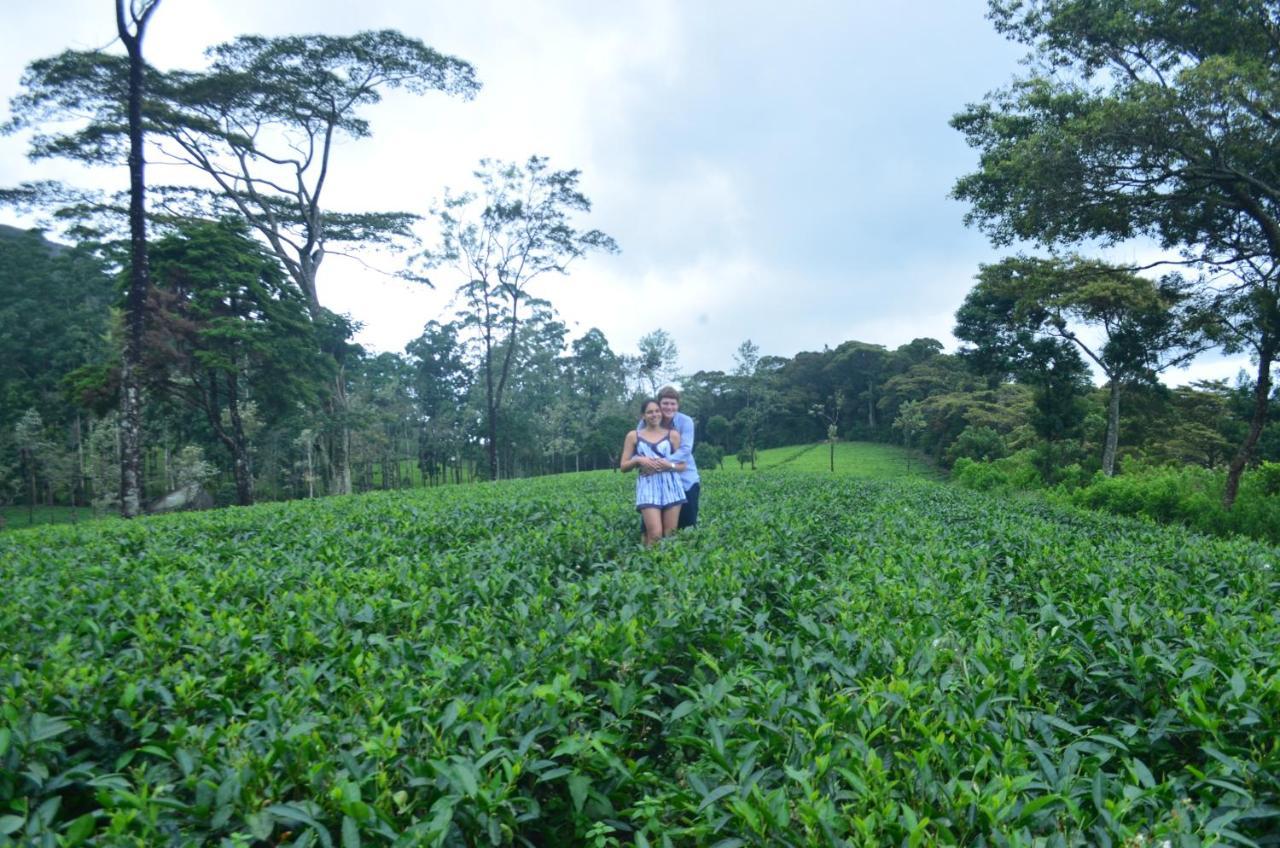 Tea Heights Hotel Kandy Buitenkant foto